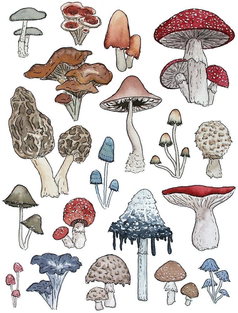 Featured image of post Aesthetic Mushroom To Draw