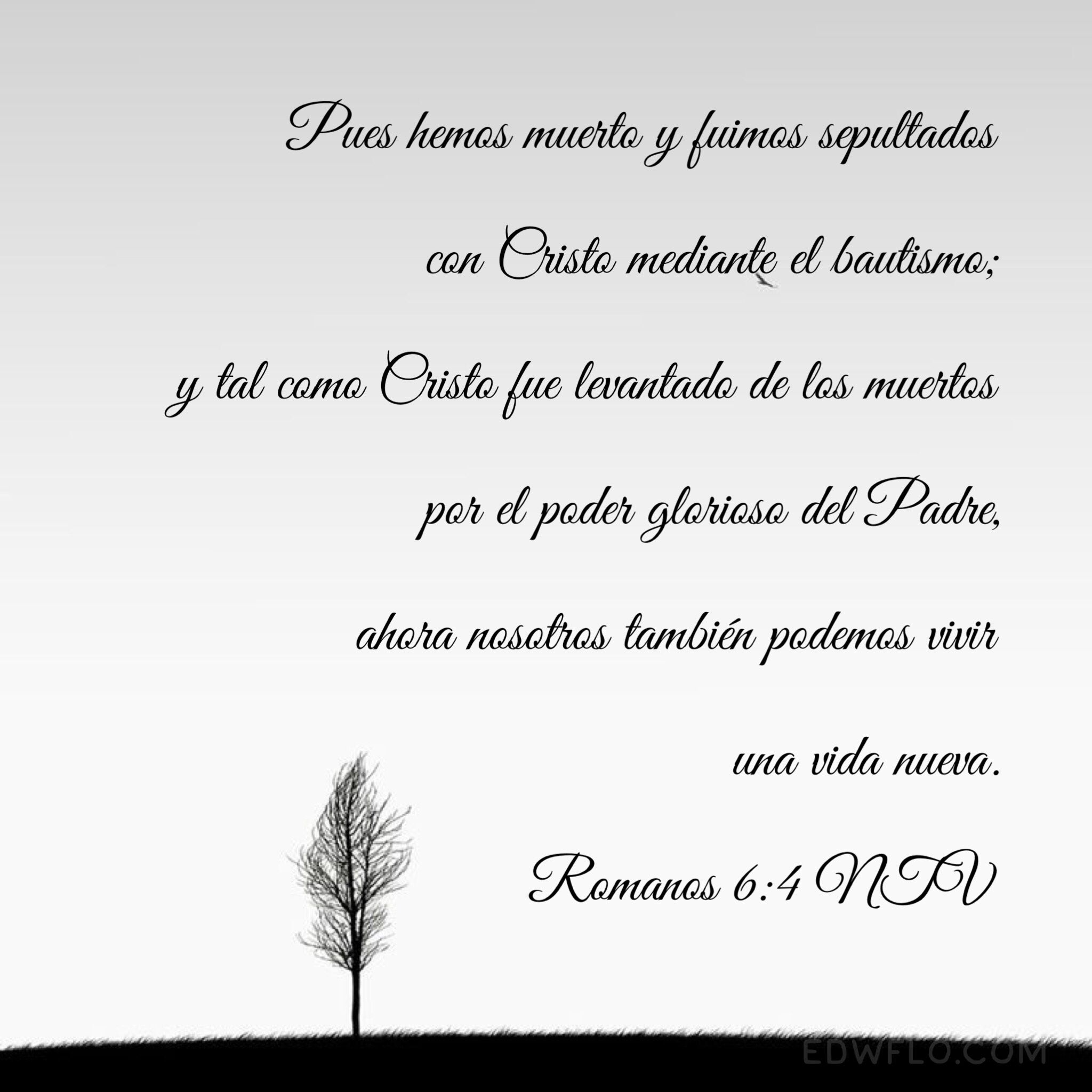 Featured image of post Frases Para Bautizos Cristianos