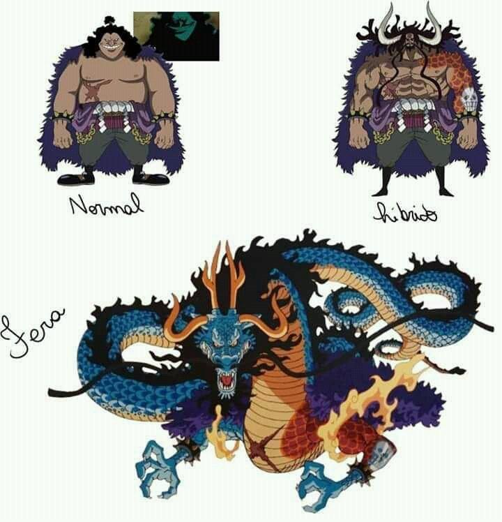 Featured image of post Kaido Hybrid Form Reddit