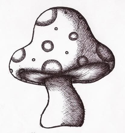 Featured image of post Mushroom Things To Draw